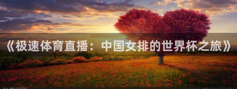 jrkan直播nba在线直播：《极速体育直播：中国女排的世界杯之旅》