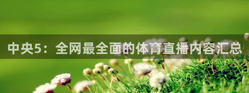 jr看球直播：中央5：全网最全面的体育直播内容汇总