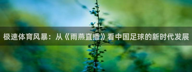 jrkan直播nba：极速体育风暴：从《雨燕直播》看中国足球的新时代发展