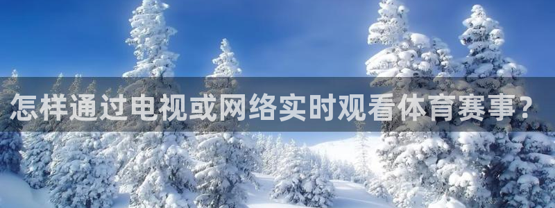 jrkan直播免费体育直播：怎样通过电视或网络实时观看体育赛事？