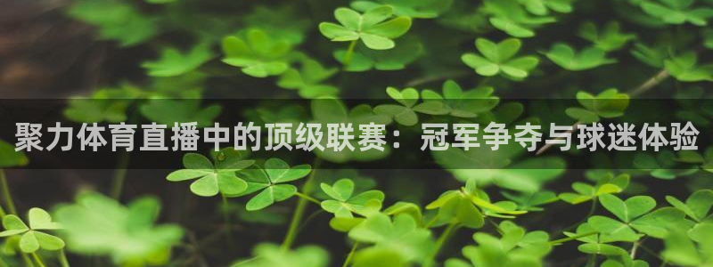jrkankan直播体育：聚力体育直播中的顶级联赛：冠军争夺与球迷体验