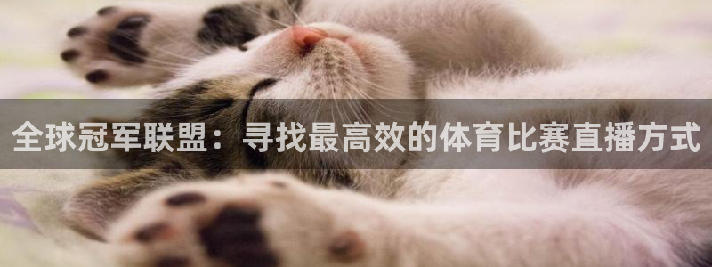 jrkankan体育直播：全球冠军联盟：寻找最高效的体育比赛直播方式