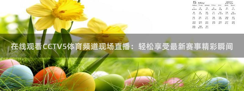 jr看球直播网：在线观看CCTV5体育频道现场直播：轻松享受最新赛事精彩瞬间