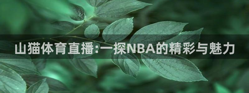 jrkan直播篮球：山猫体育直播:一探NBA的精彩与魅力