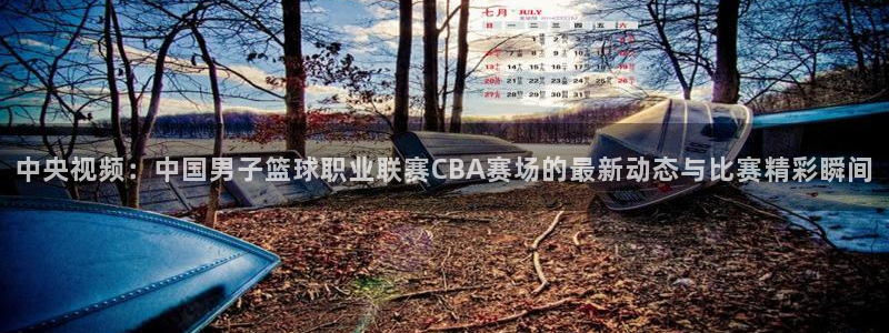 jrkan直播免费体育直播：中央视频：中国男子篮球职业联赛CBA赛场的最新动态与比赛精彩瞬间