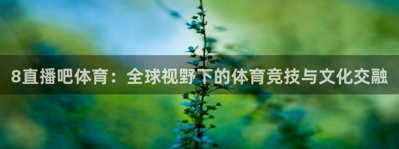 篮球直播jrkan：8直播吧体育：全球视野下的体育竞技与文化交融