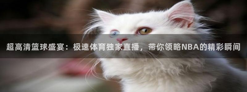 jrkan2022直播体育网：超高清篮球盛宴：极速体育独家直播，带你领略NBA的精彩瞬间