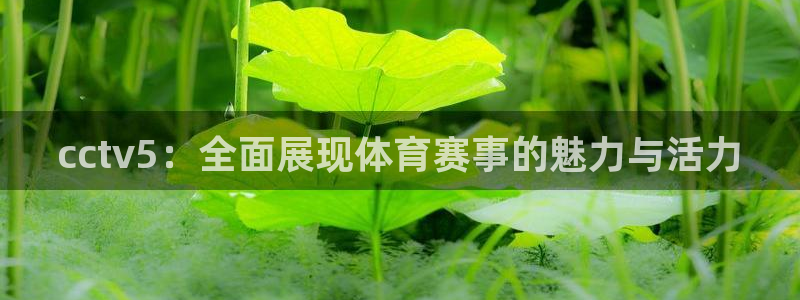 jrkan体育在线直播免费观看：cctv5：全面展现体育赛事的魅力与活力